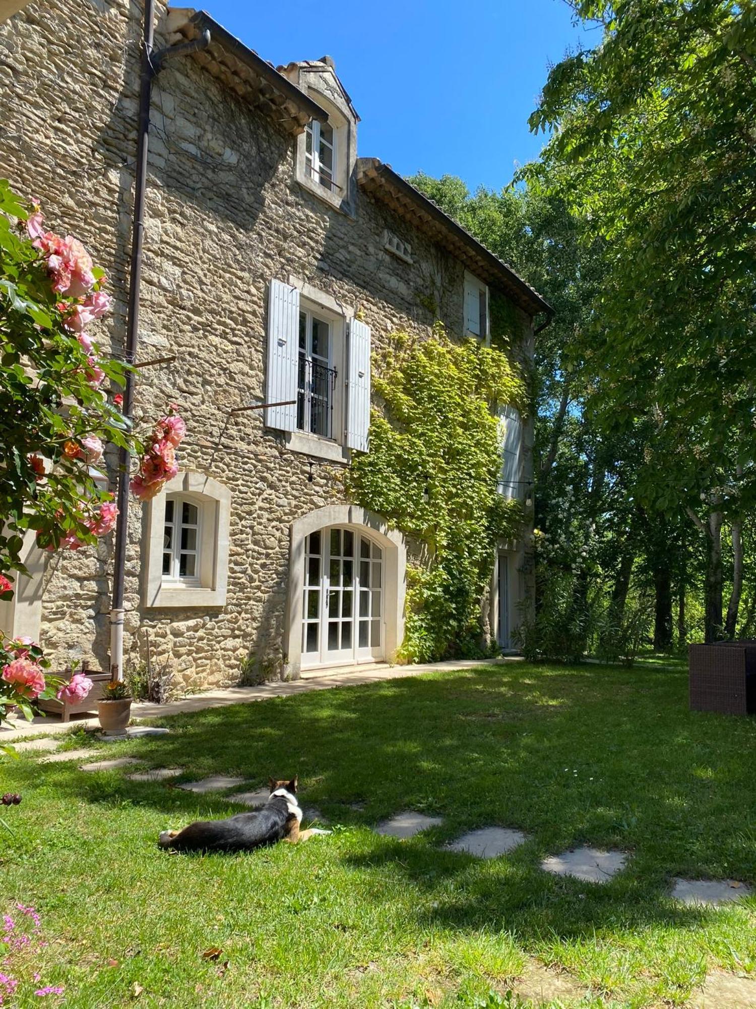 Le Moulin De Montsegur Bed & Breakfast Dış mekan fotoğraf